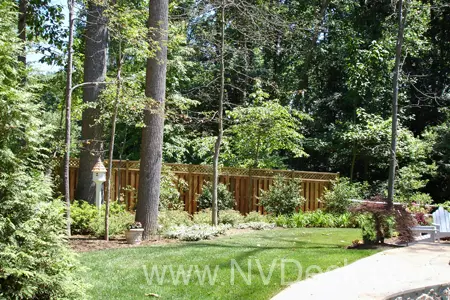 Cedar Fence in backyard