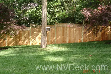 Tree with bird feeder and cedar fence in background