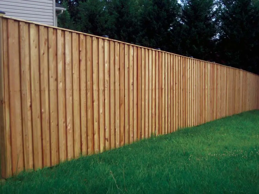 Tall Pine Fence