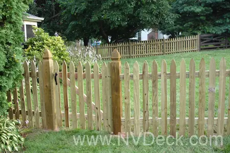 Pine Wood Picket Fence