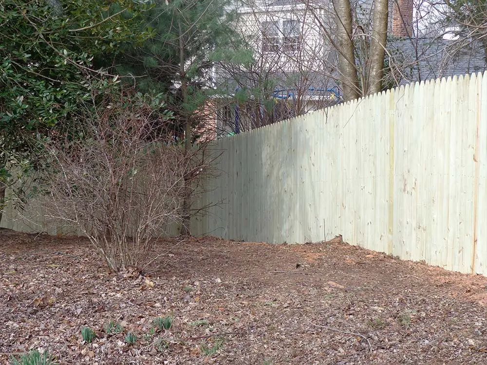 Tall Privacy Pine Fence